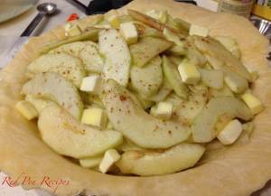 Applepie112314-3